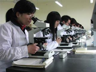 校园环境